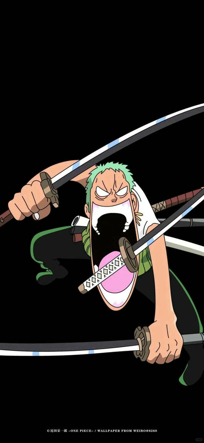 roronoa zoro รูป โซ โล เท่ ๆ
