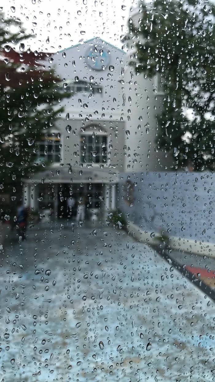 กางร่มกลางสายฝน