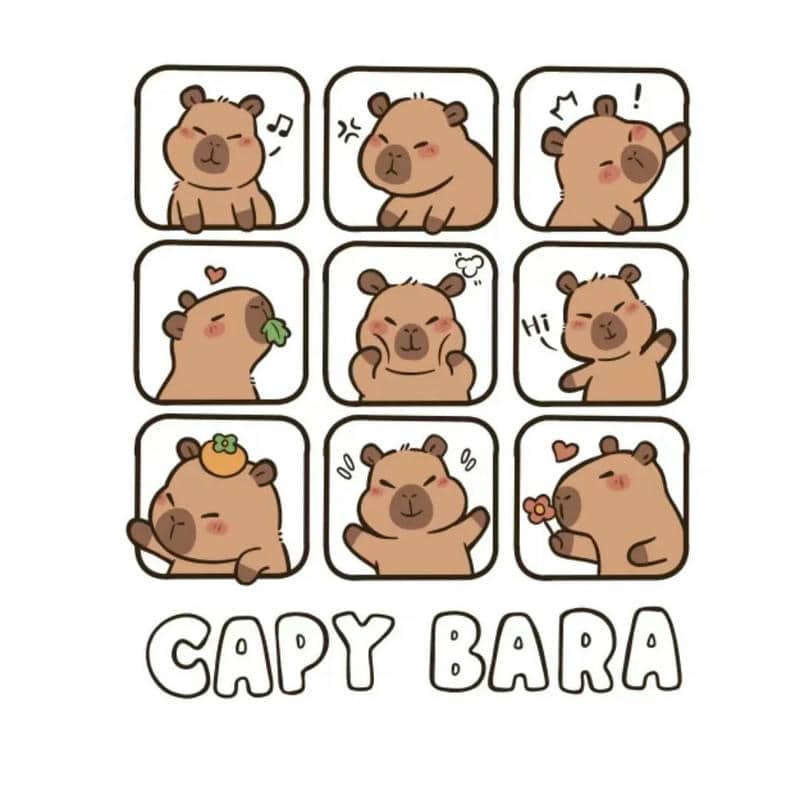 การ์ตูนคาปิบาร่า-1