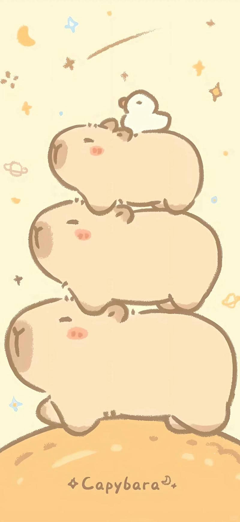 คาปิบาร่า วาด-2