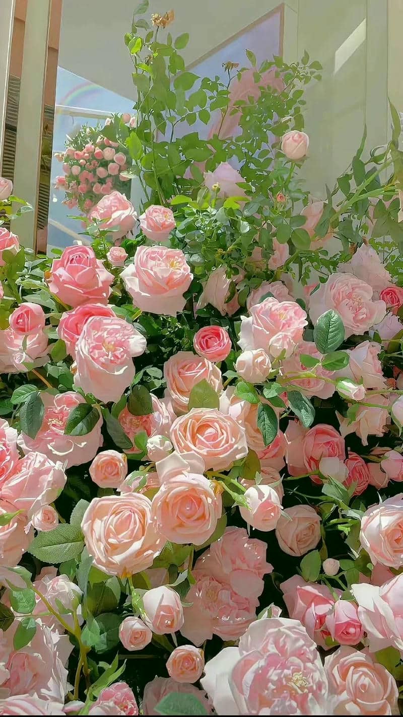 ดอกไม้พุ่มสวยๆ