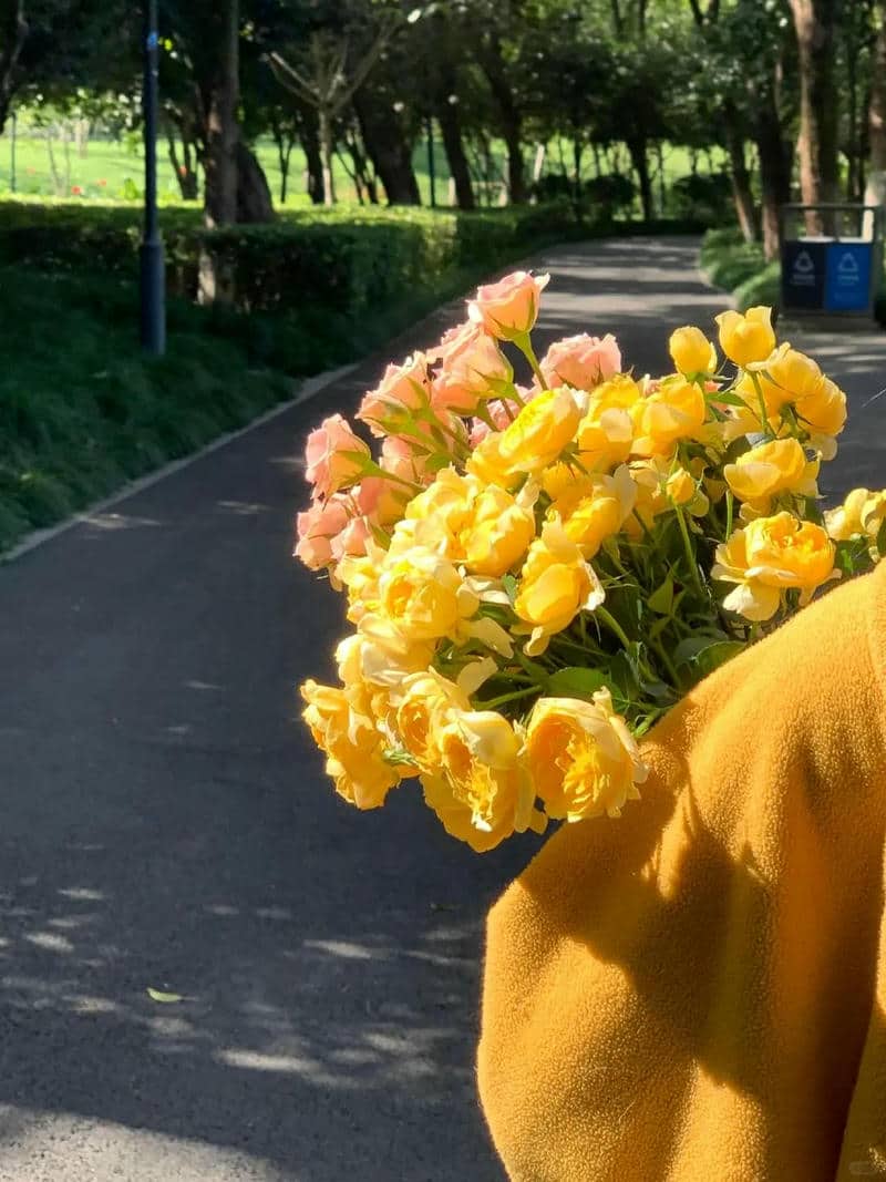 ดอกไม้สีสวย