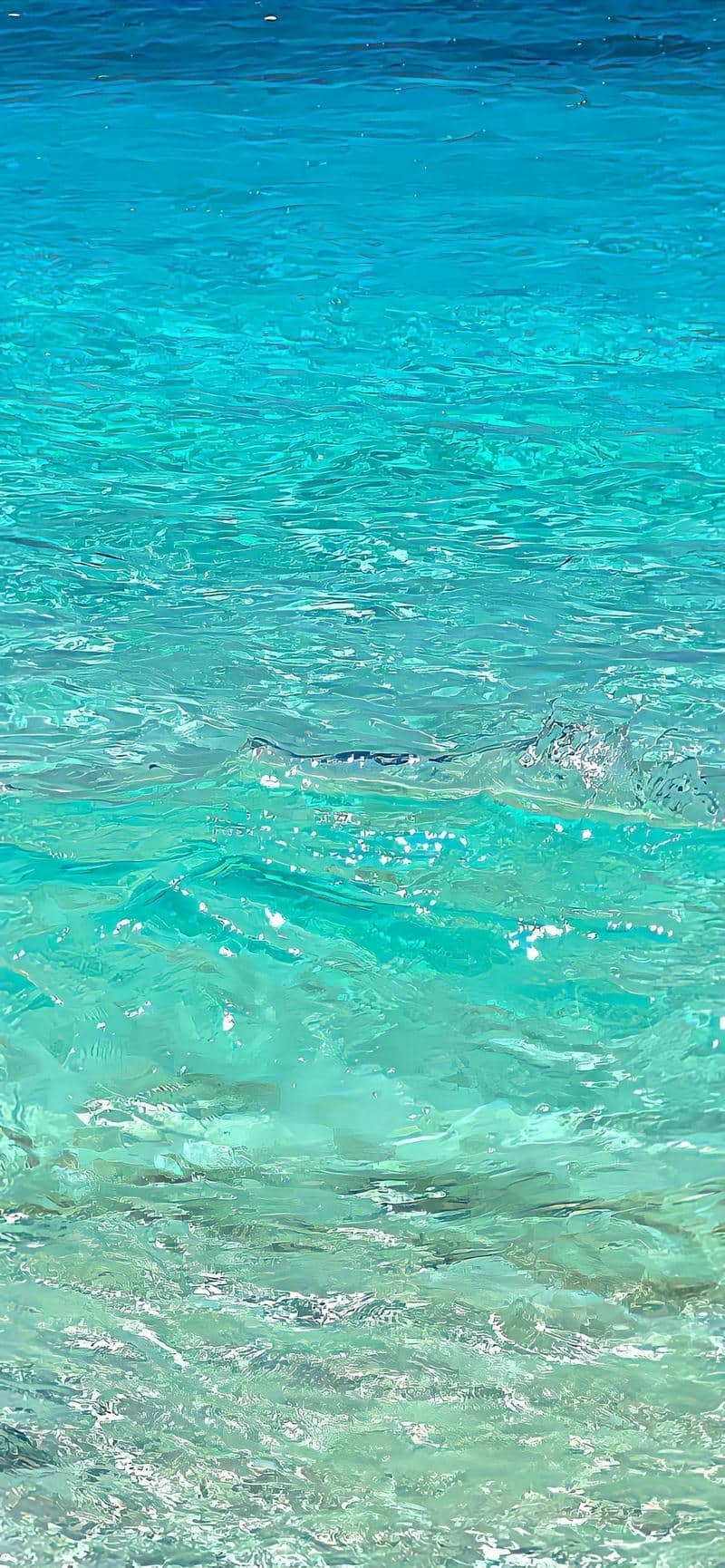 ทัเล