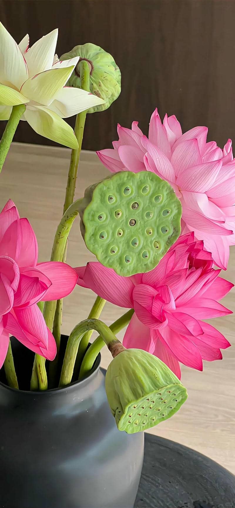 ภาพดอกบัวสวยๆ