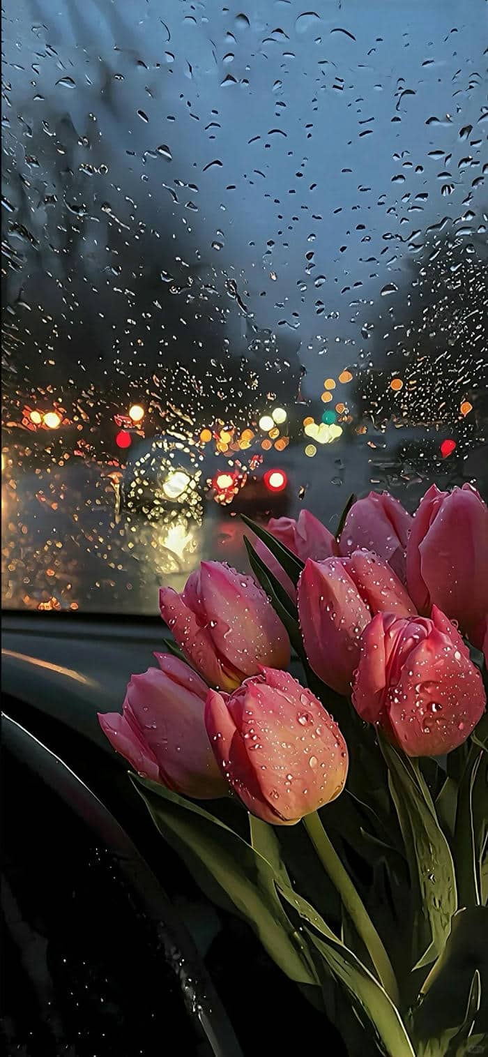 ภาพฝนตกสวยๆ