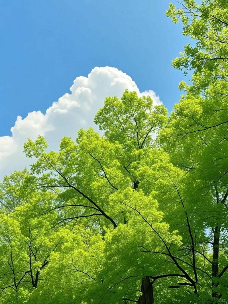 ภาพวิวสวยๆ ขนาดใหญ่ ฟรี