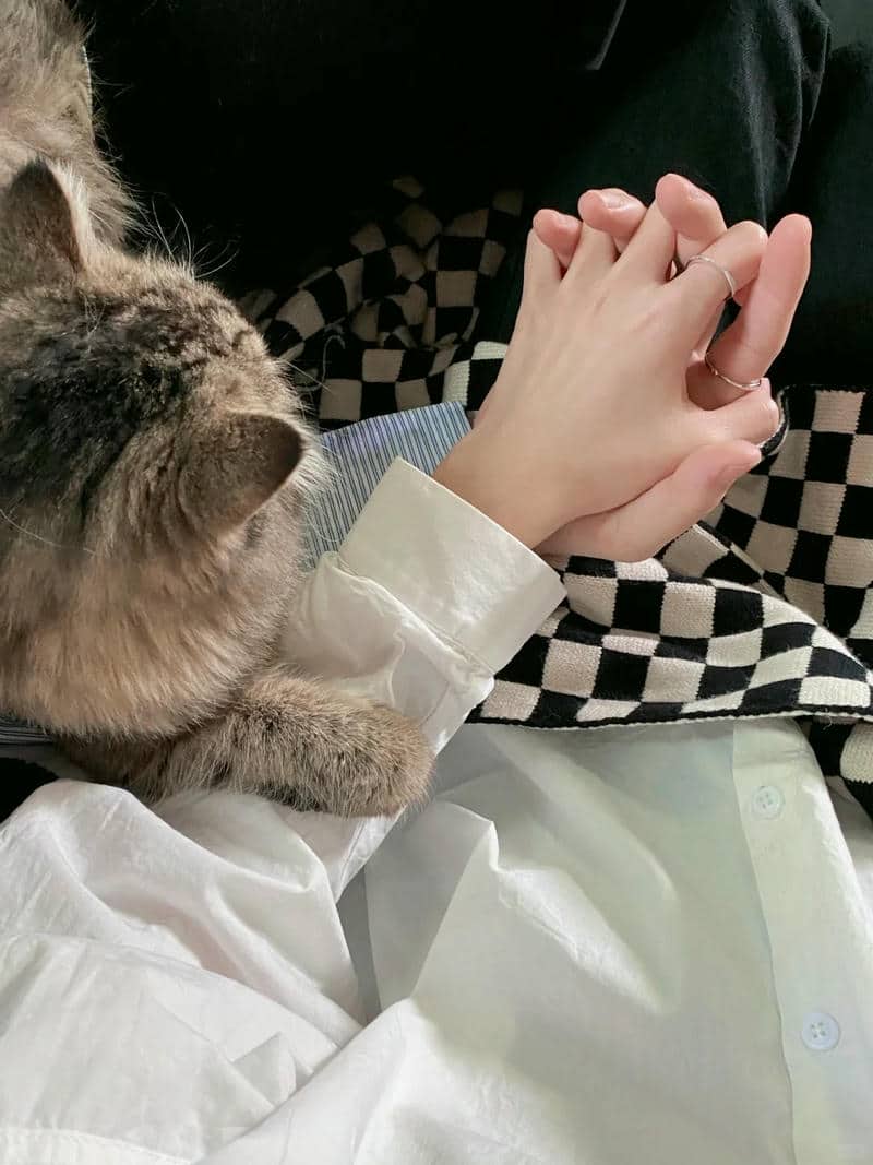 รูป จับมือ เดิน ด้วยกัน