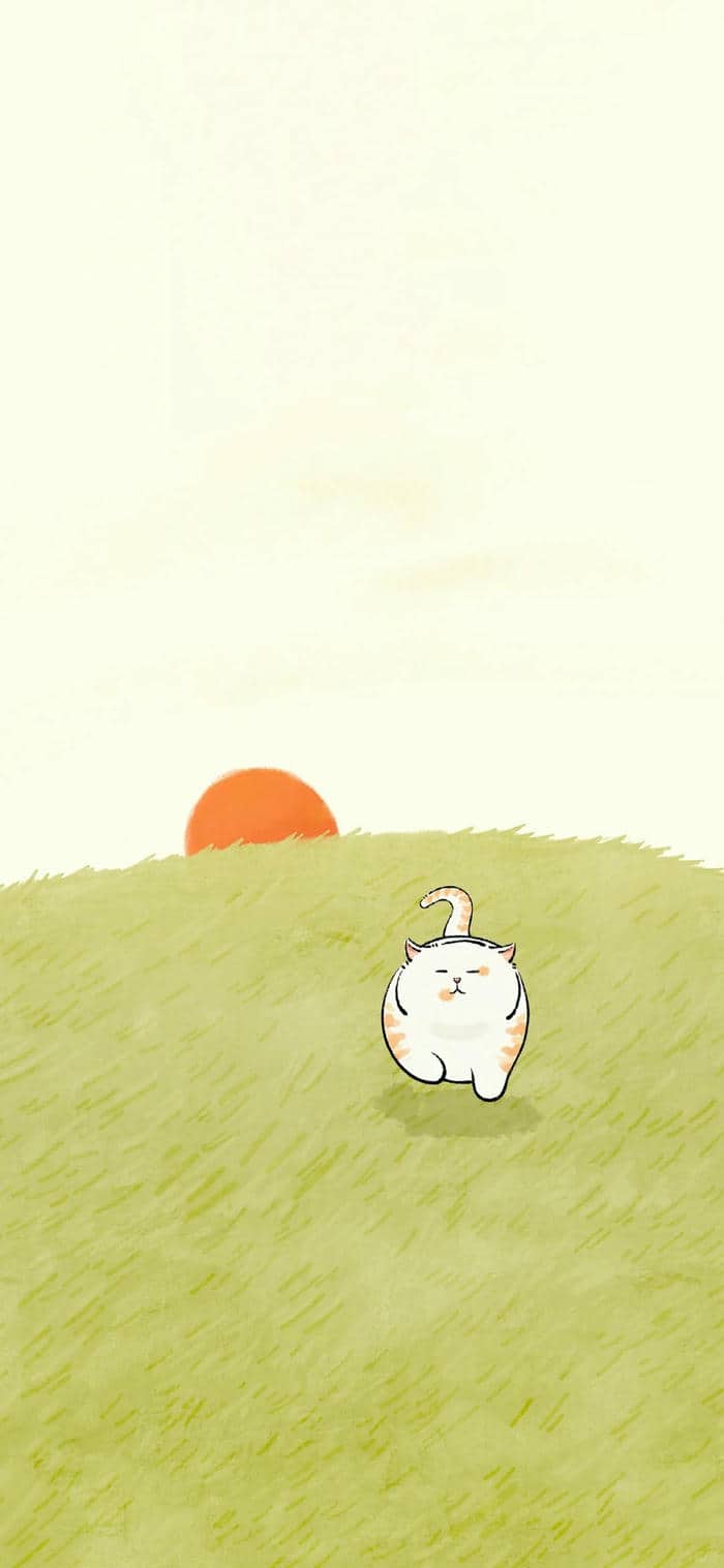 รูปตั้งโปรไฟล์แมว