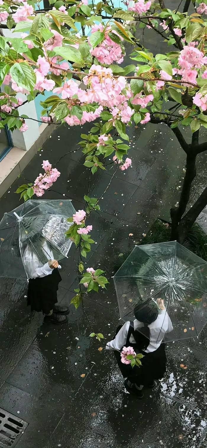 รูปฝนตกสวยๆ