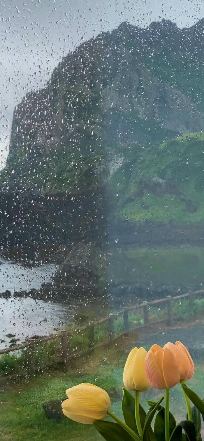รูปภาพฝนตกตอนเช้า
