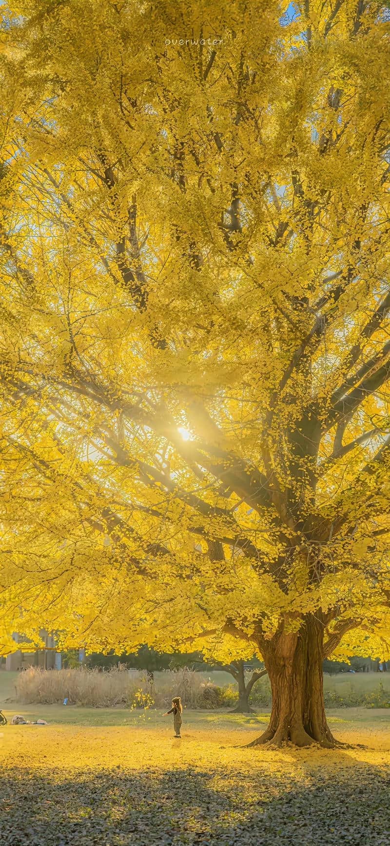 รูปวิวต่างประเทศสวยๆ