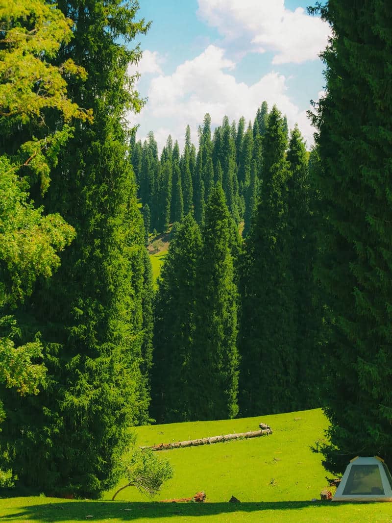 รูปวิวสวยๆชัดๆ