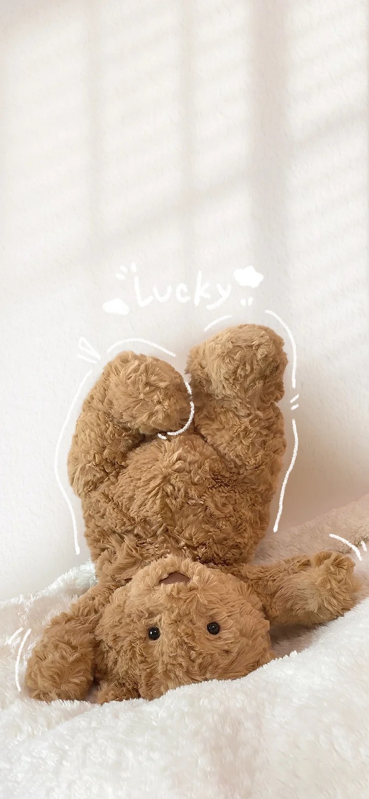 รูปหมีโหดๆ