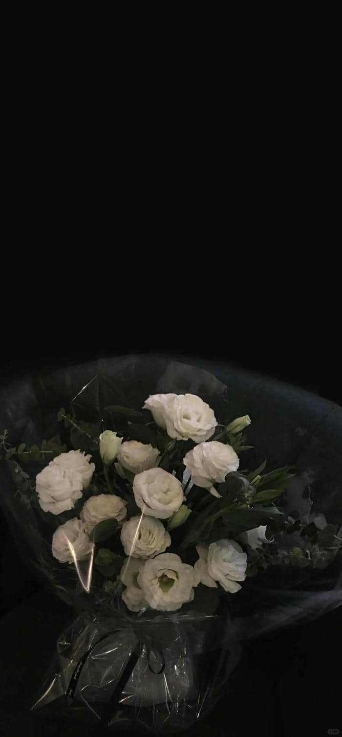 รูปโทนดำ