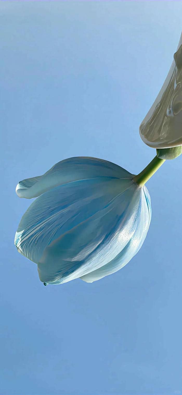 รูปโทนสีฟ้าสวยๆ