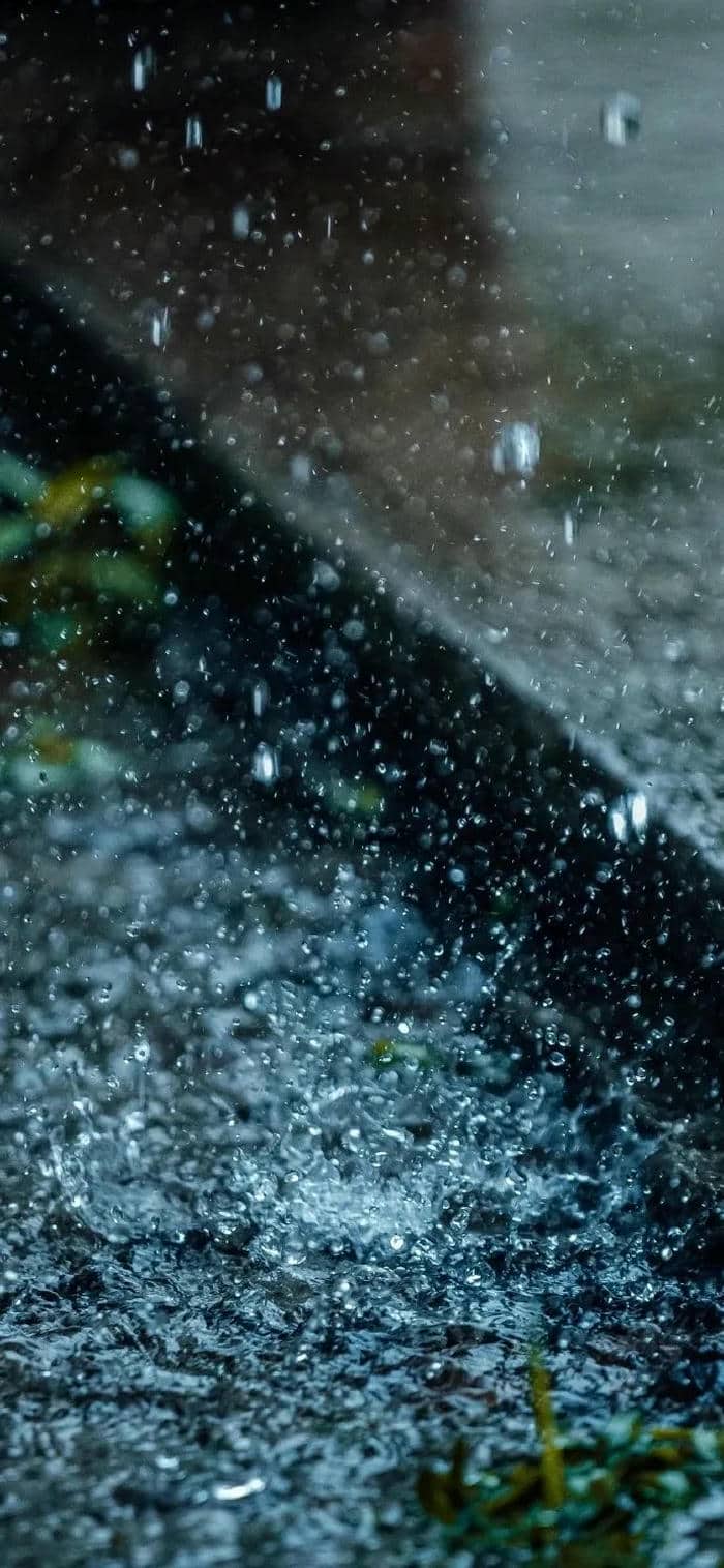 วิวฝนตก