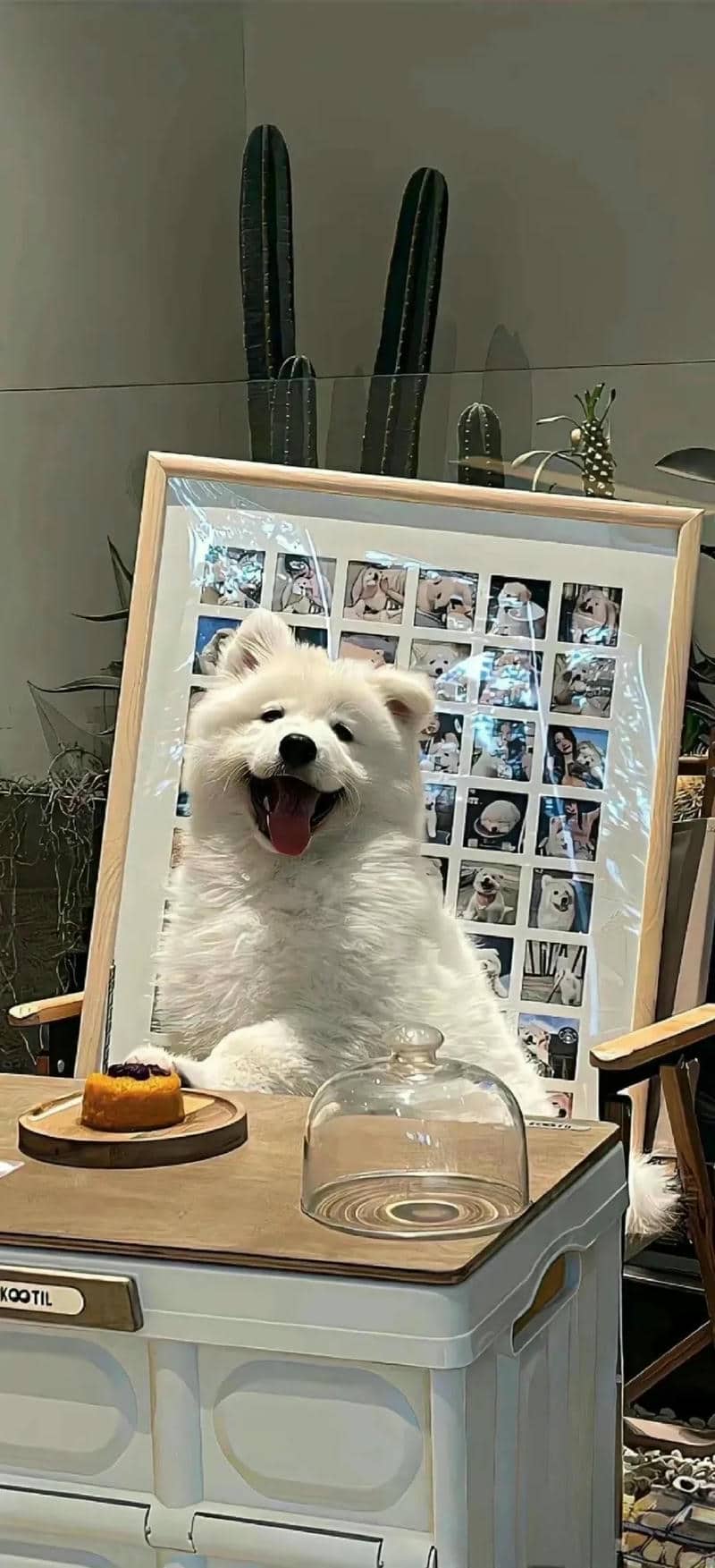 สุขนัข