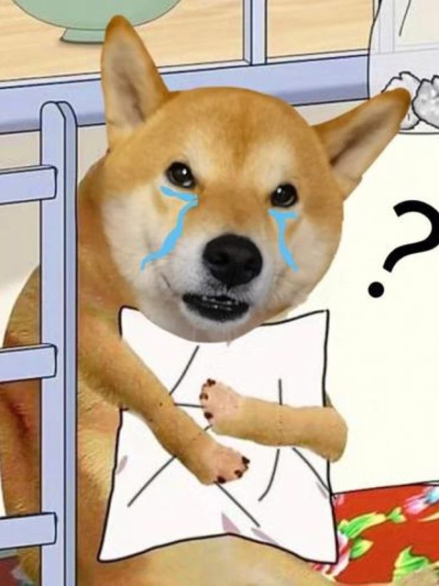 มีมดีใจ