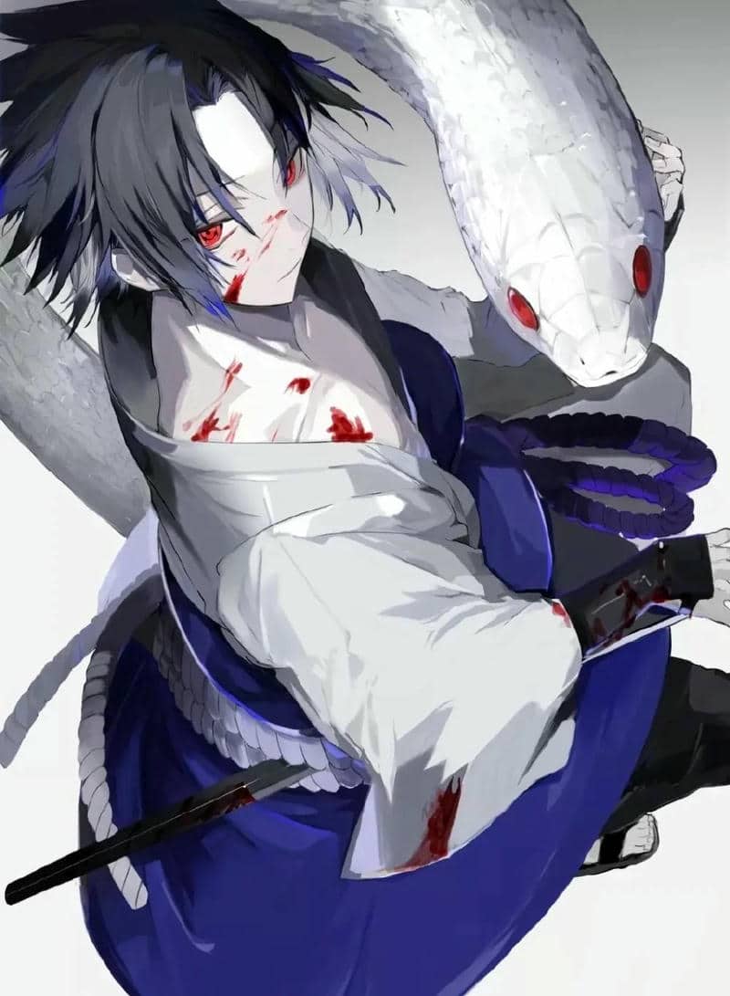 naruto sasuke-1