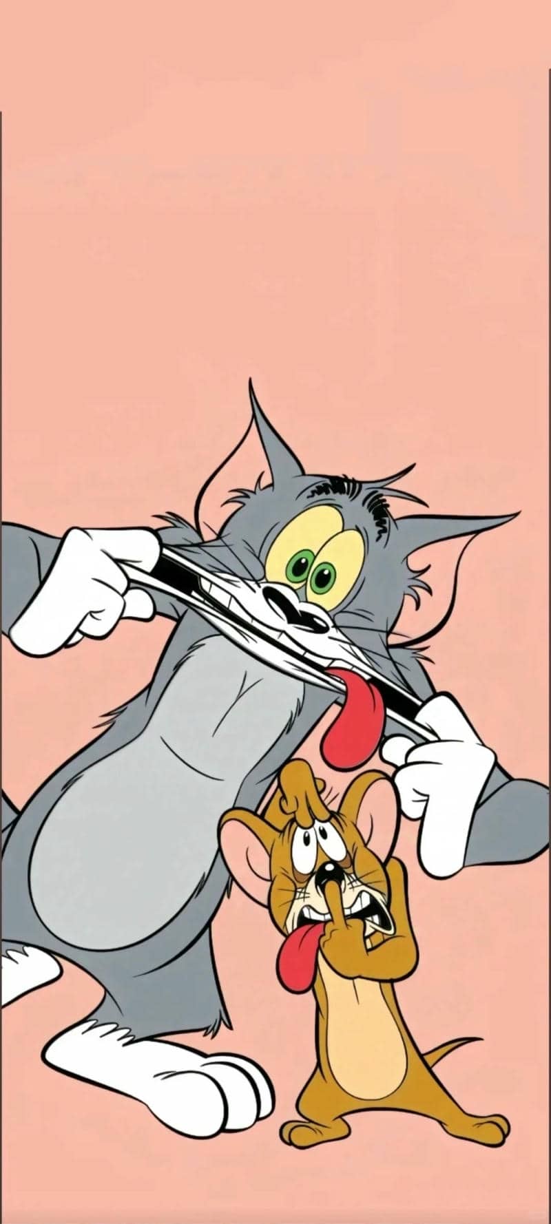 tom and jerry tom-2