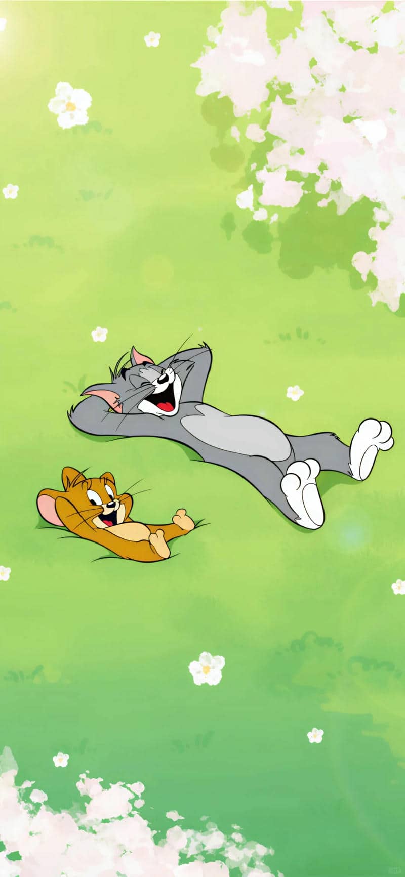 tom & jerry