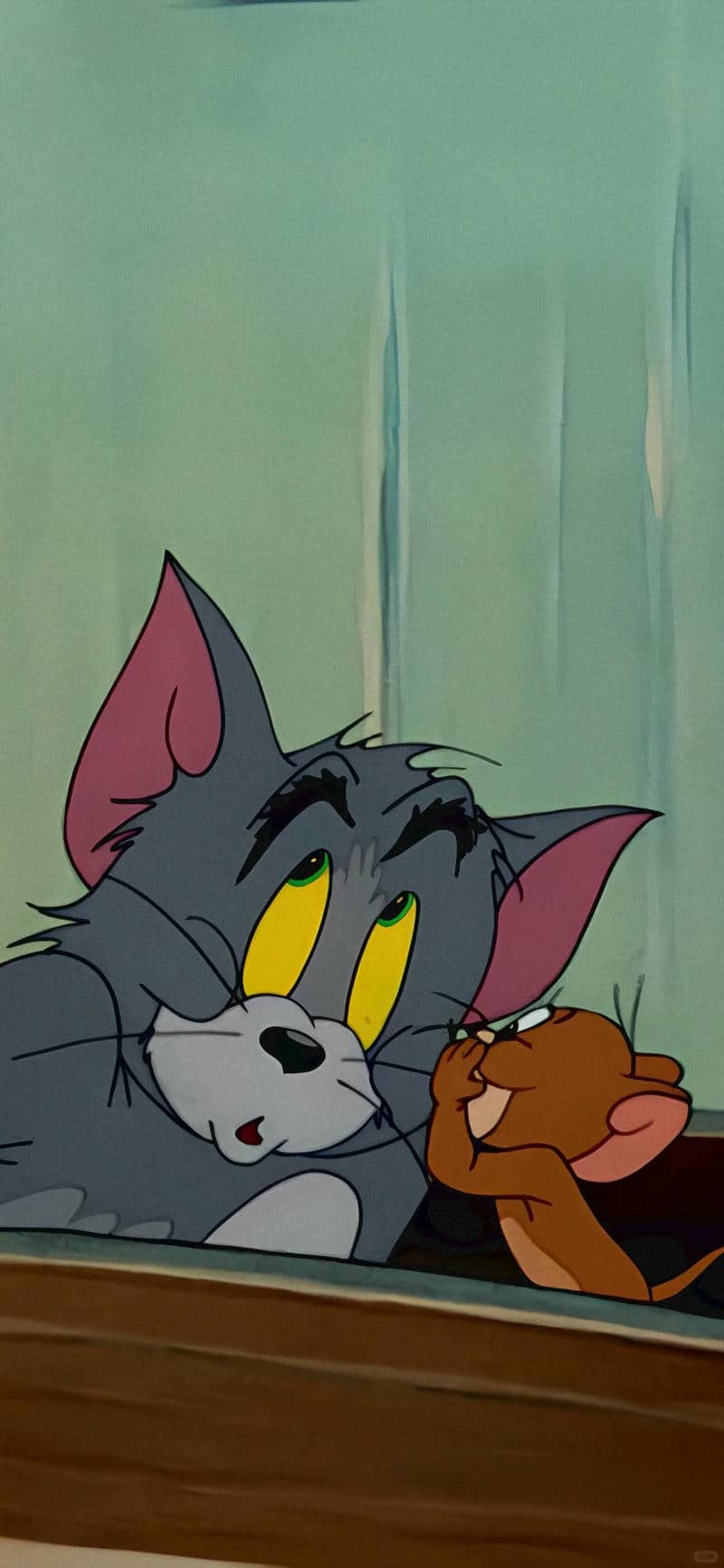 tom x jerry