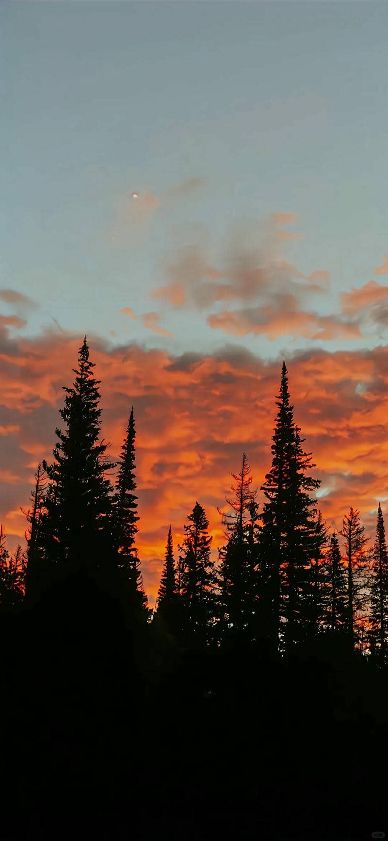 wallpaper 8k-3
