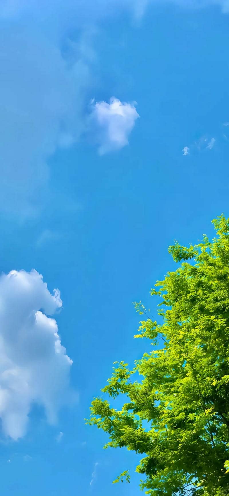 wallpaper 8k