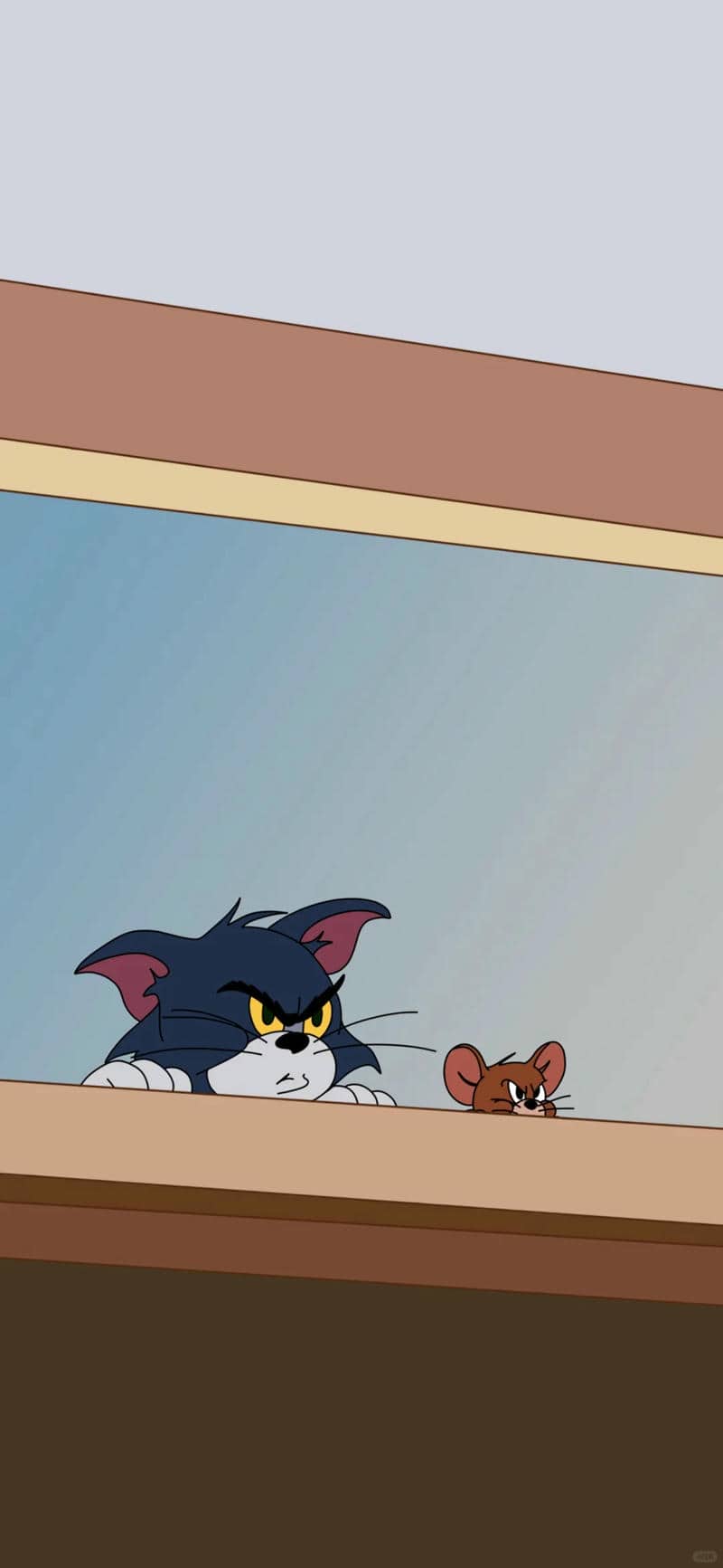 การ์ตูน tom and jerry-1