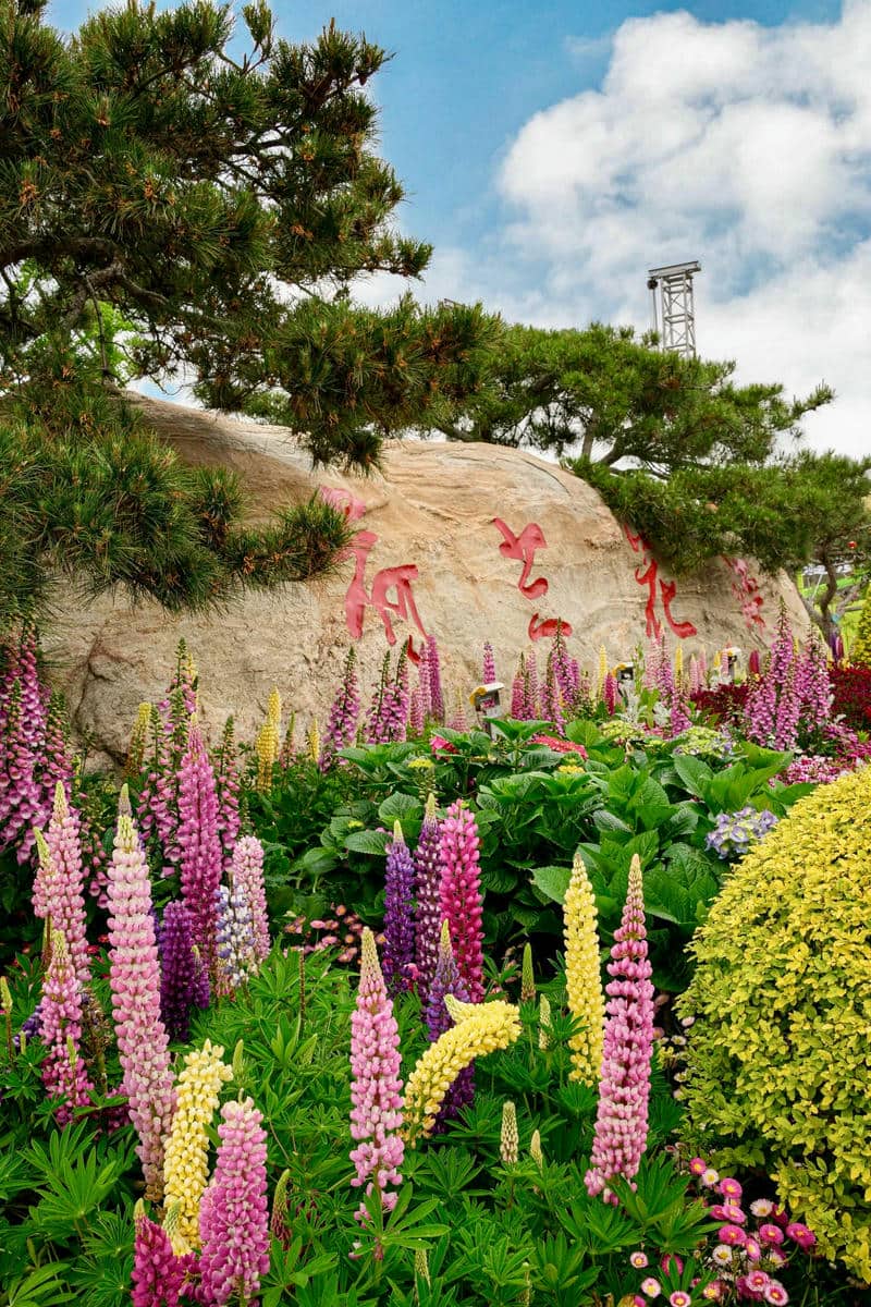 ดูดอกไม้-1