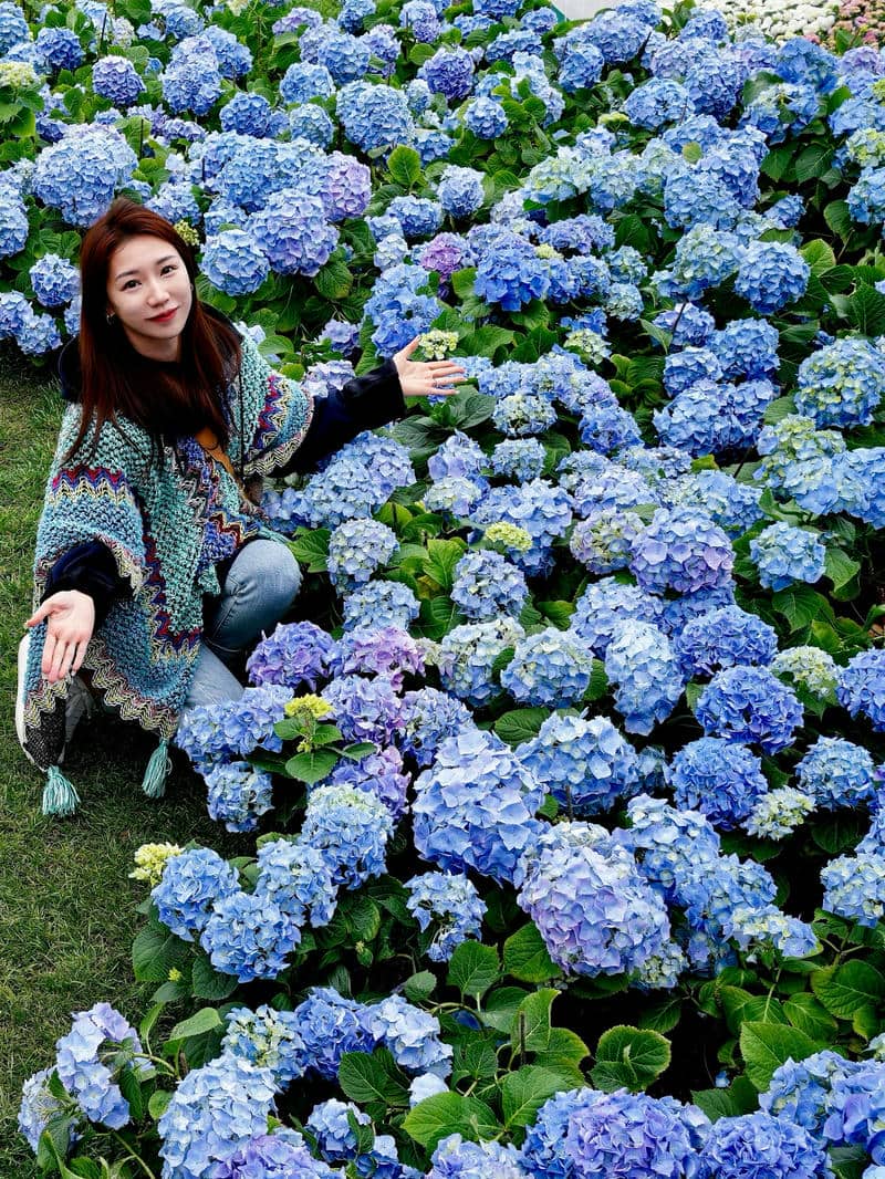 ดูดอกไม้