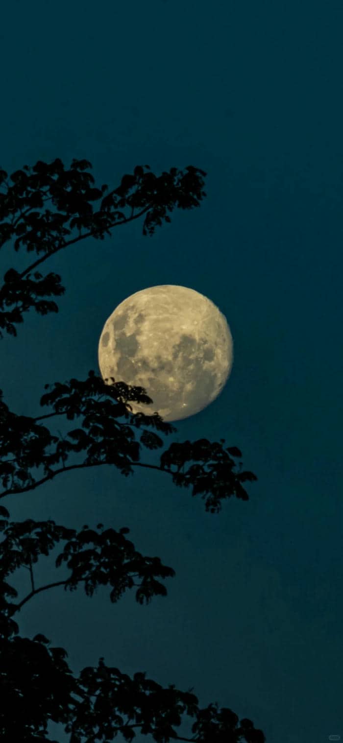 ถ่ายรูปพระจันทร์-1