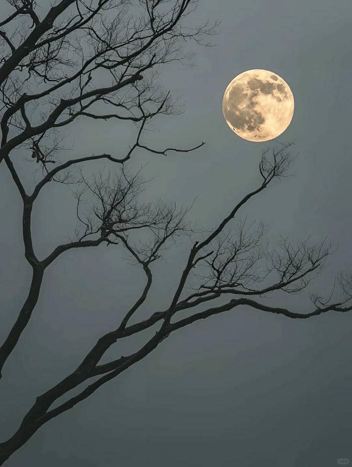 ถ่ายรูปพระจันทร์-3