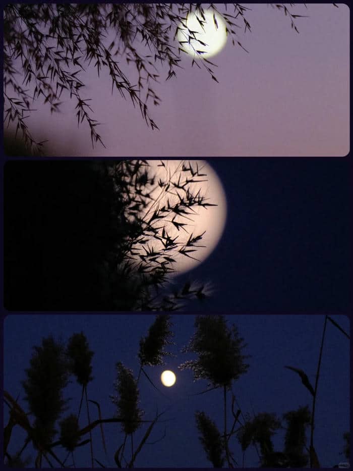 ถ่ายรูปพระจันทร์-5