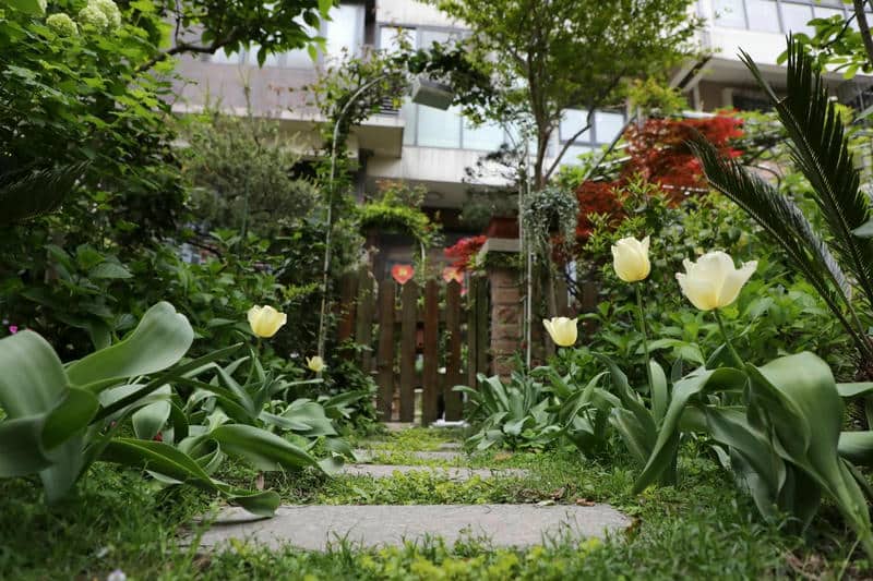 ธรรมชาติ สวน ดอกไม้ สวย ๆ-1