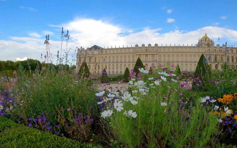 ธรรมชาติ สวน ดอกไม้ สวย ๆ