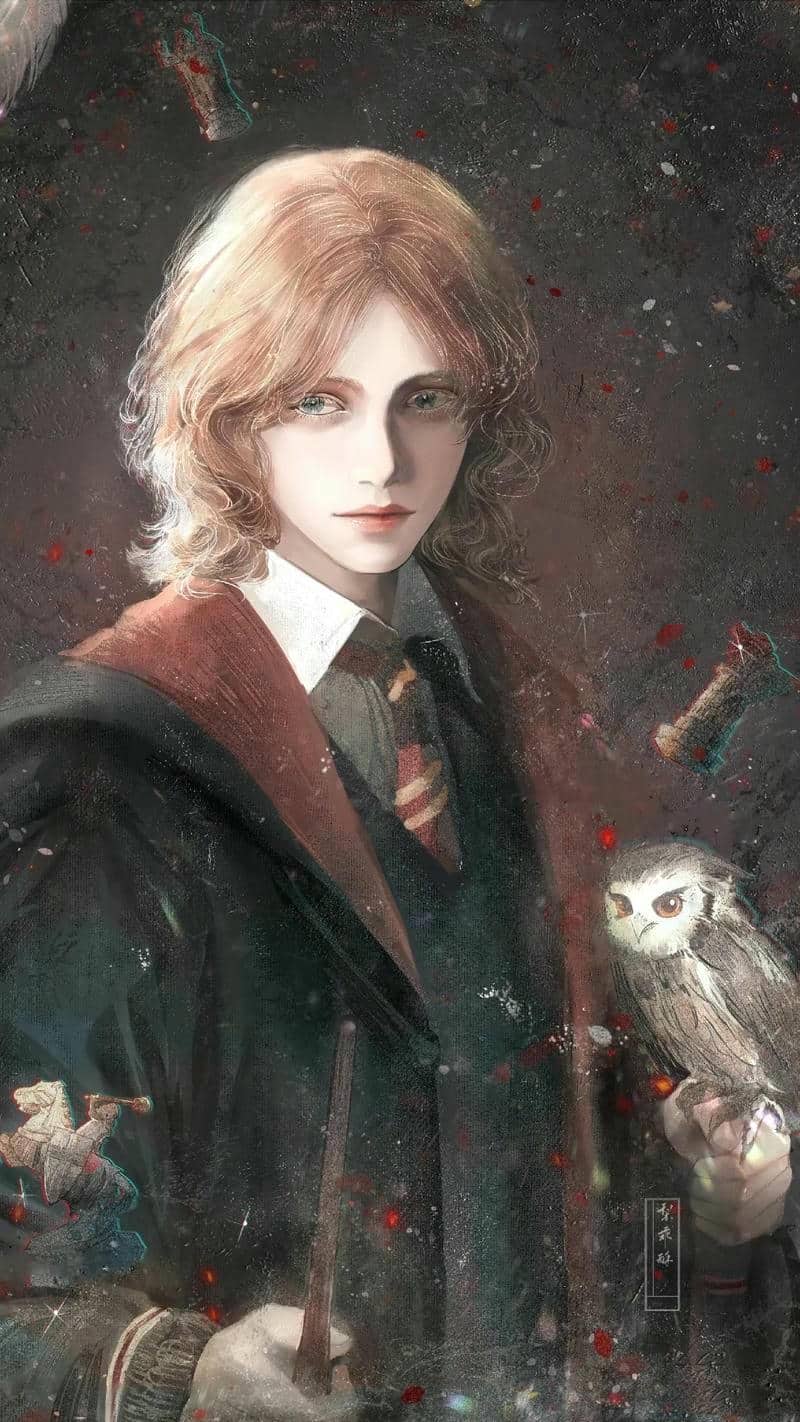 ปราสาท harry potter-3