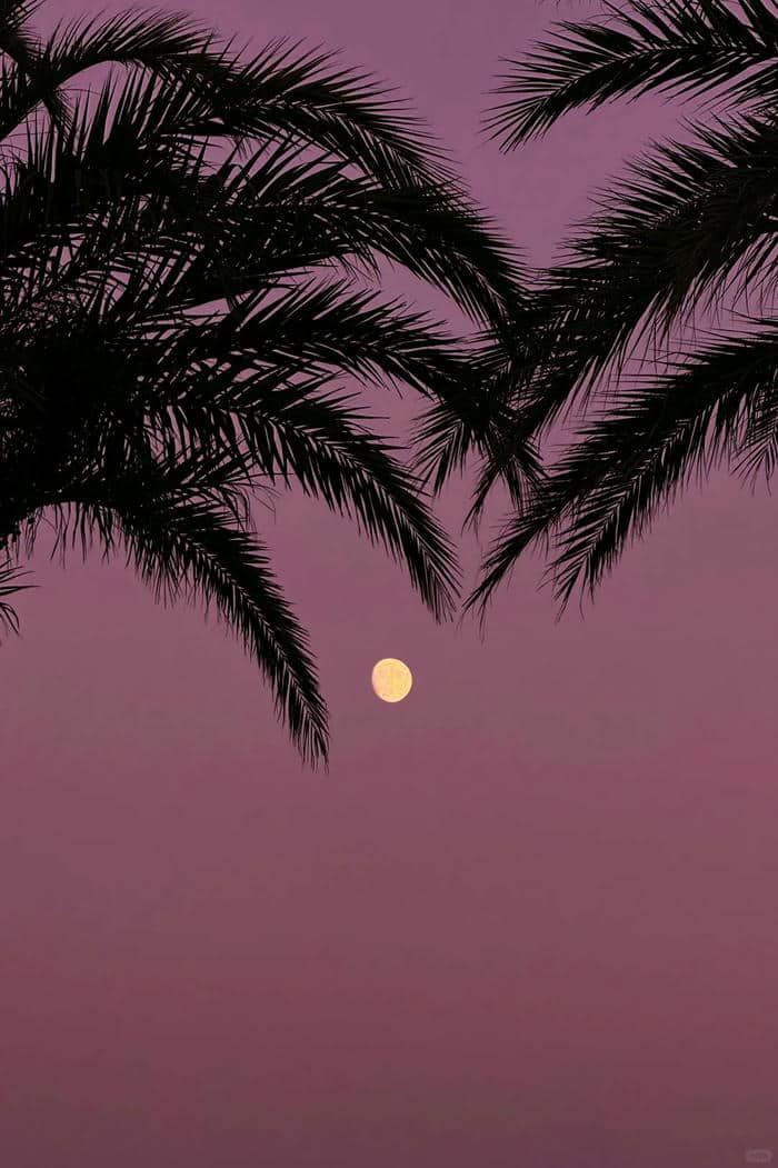 ภาพถ่ายโลกจากดวงจันทร์-1