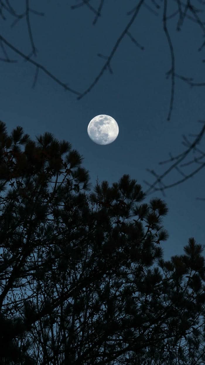 ภาพถ่ายโลกจากดวงจันทร์-2