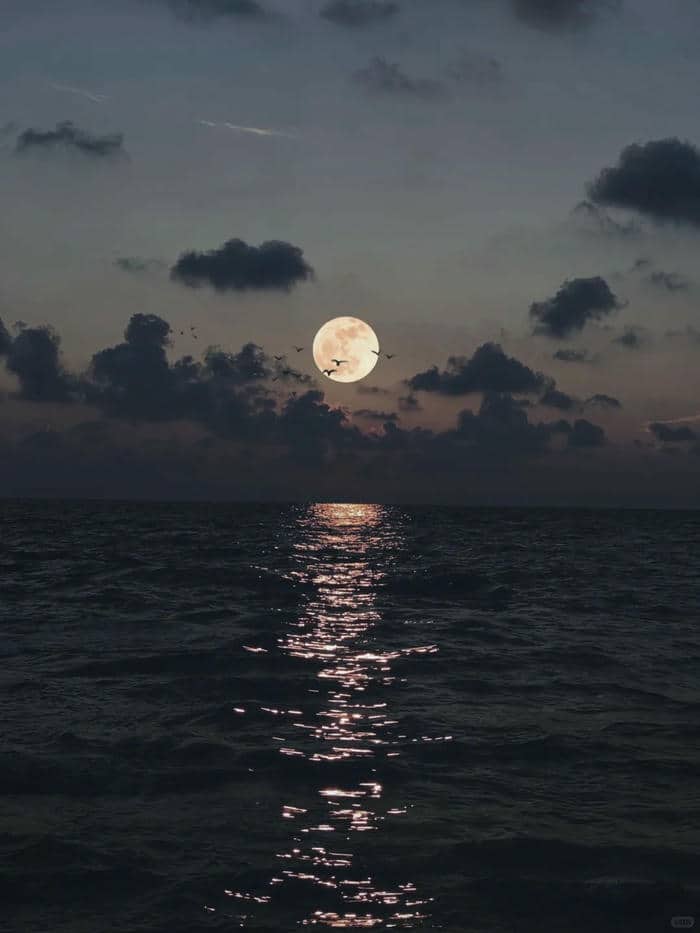 ภาพถ่ายโลกจากดวงจันทร์-4