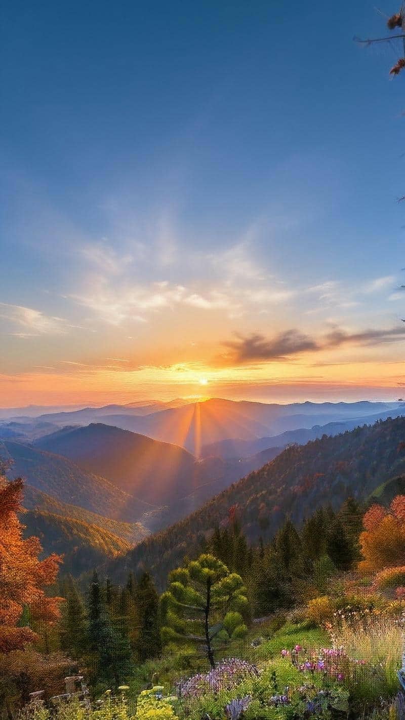 ภาพพื้นหลังiphone