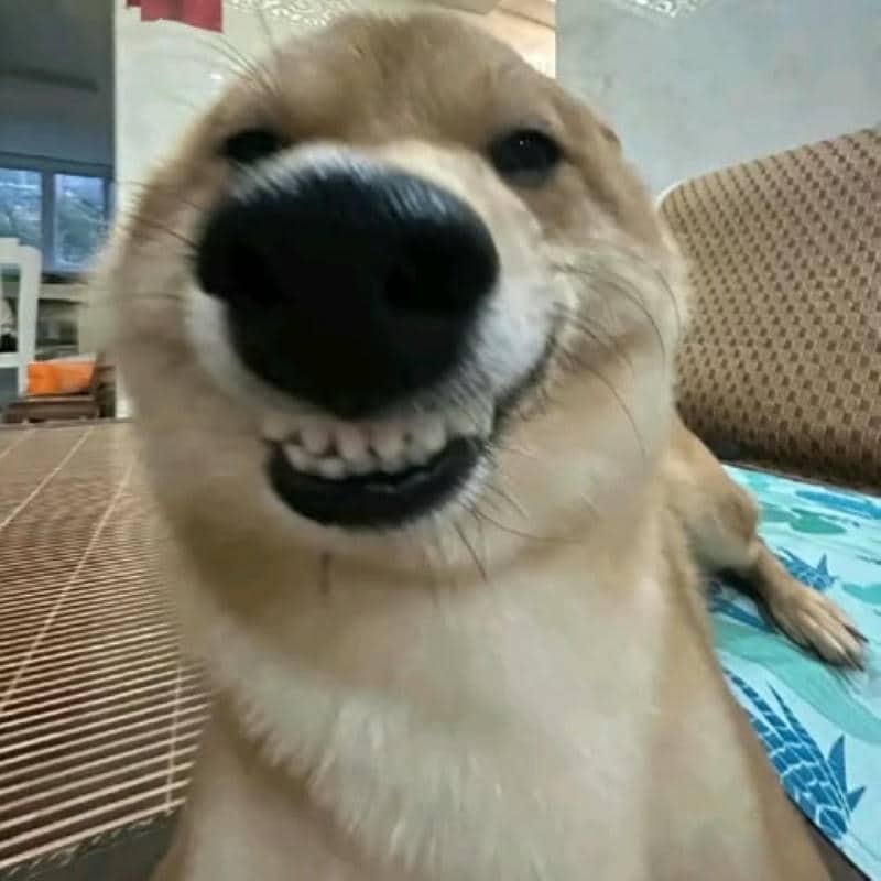 ภาพมีม