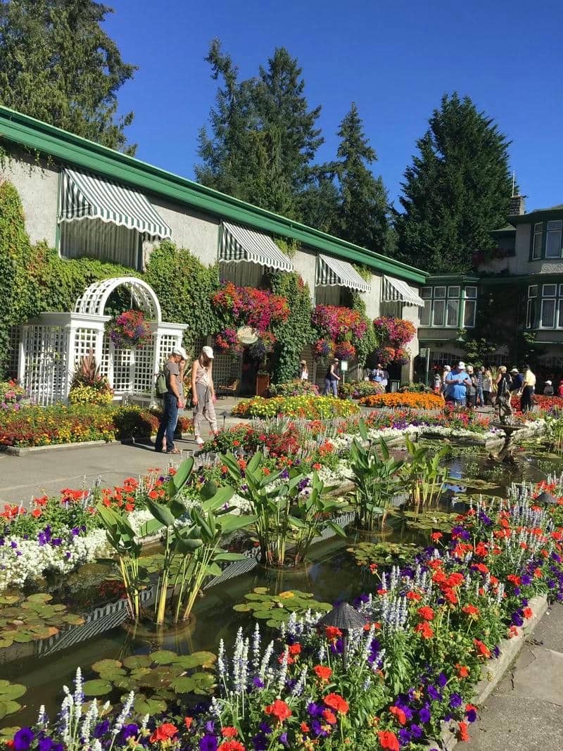 ภาพสวนดอกไม้