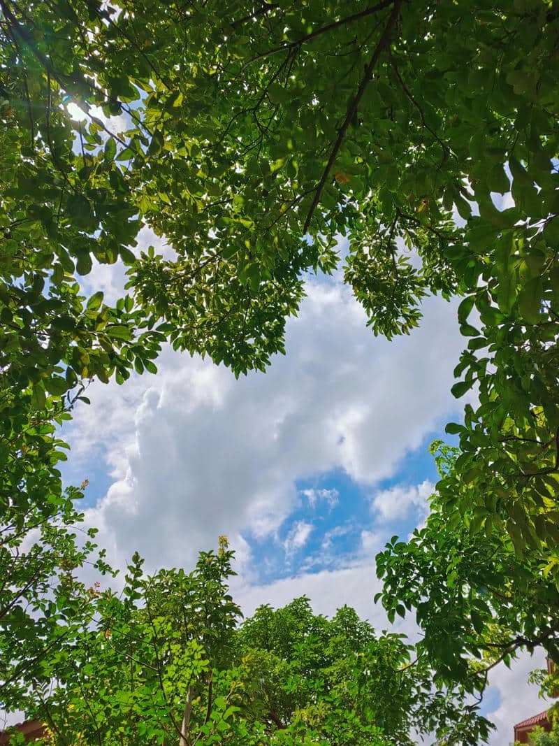 ภาพหัวใจ-1