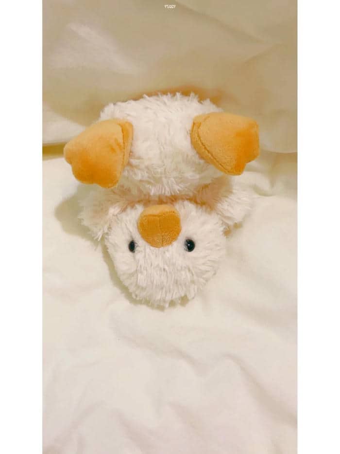 ภาพเป็ด-1