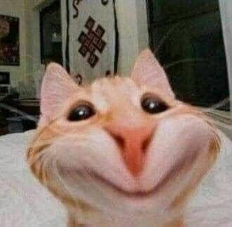 มีมขำๆ