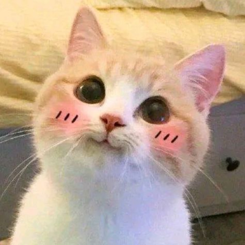 มีมคู่รัก