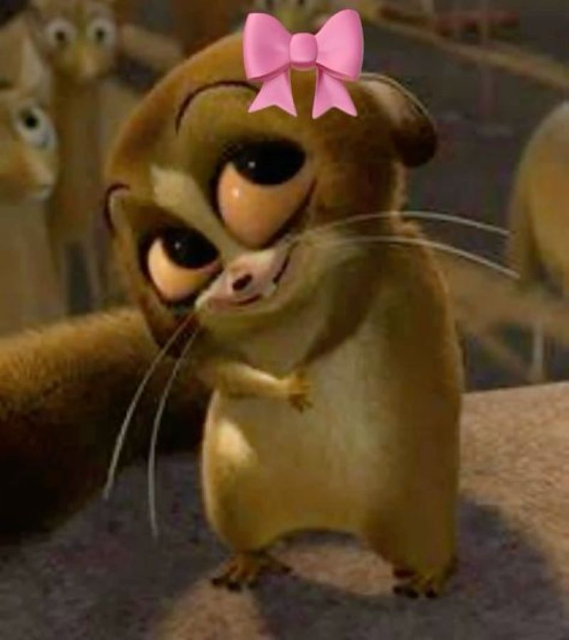 มีมน่ารักๆ-1