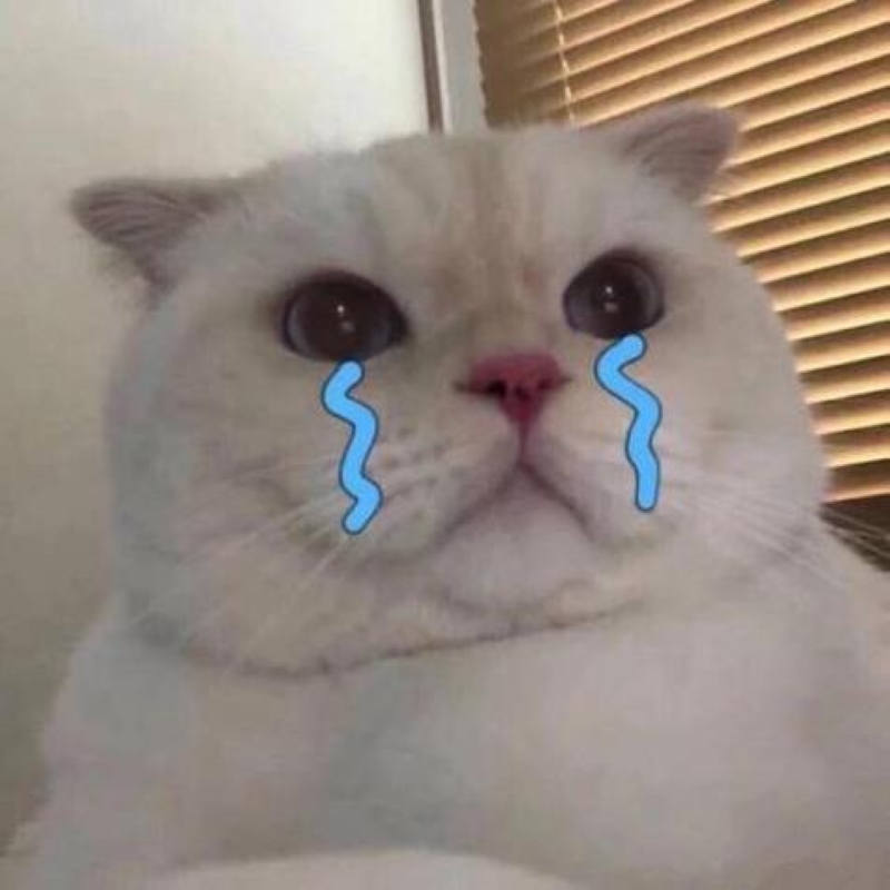 มีมร้องไห้ตาบวม