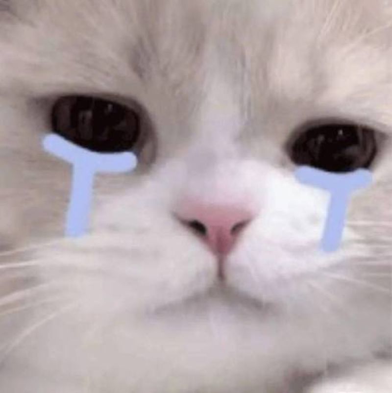 มีมร้องไห้หนักมาก